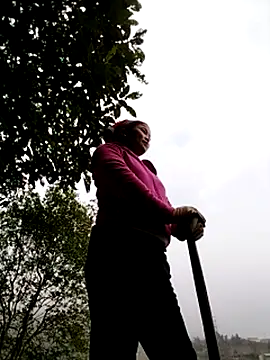 sumaybae online show from December 5, 8:24 am