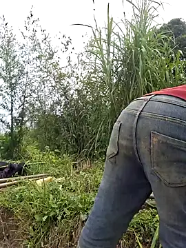 miomio-12 online show from March 25, 3:50 am