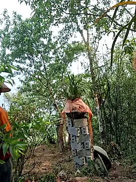 miomio-12 online show from April 15, 2:06 am