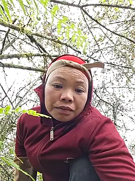 miomio-12 online show from December 14, 8:09 am