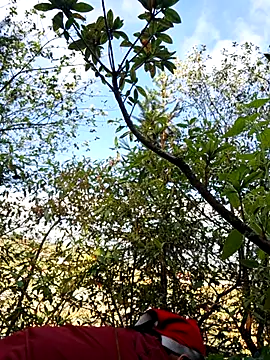 Snapshot of miomio-12 chatting on November 23, 2:43 am miomio-12 online show from November 23, 2:43 am