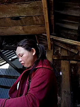 miomio-12 online show from April 3, 12:50 am