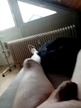 Snapshot of ImperlPerverso59 chatting on October 18, 11:56 am ImperlPerverso59 online show from October 18, 11:56 am