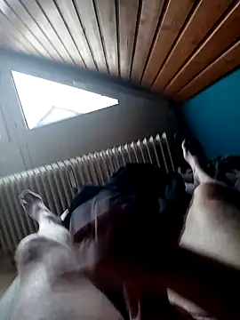 Snapshot of ImperlPerverso59 chatting on October 17, 7:44 am ImperlPerverso59 online show from October 17, 7:44 am