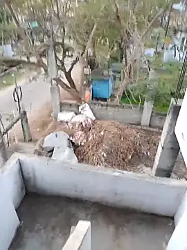 hemcrazy online show from February 20, 1:02 am