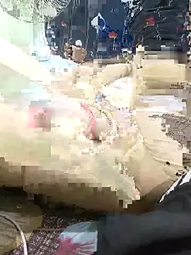 ROSHANI 234 online show from November 2, 2:11 pm