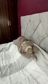 cieloking09 online show from February 28, 6:35 am