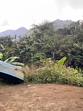 Pii x online show from November 21, 1:04 am