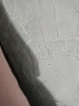 pn12345 online show from October 27, 7:42 am