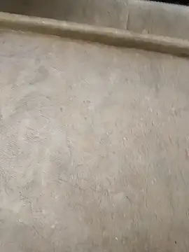 pn12345 online show from December 1, 5:08 am