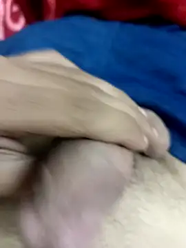 pn12345 online show from November 11, 4:02 pm