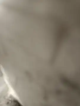 pn12345 online show from December 17, 4:28 am