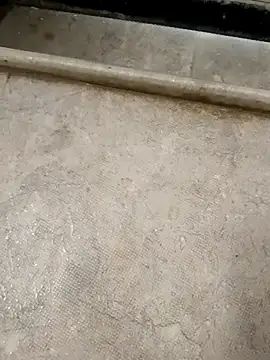 pn12345 online show from November 30, 4:02 am