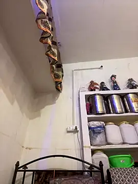 Snapshot of Sapnahot34 chatting on November 7, 3:33 am Sapnahot34 online show from November 7, 3:33 am