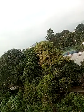 Snapshot of anshika_sharma20 chatting on October 27, 10:49 am anshika sharma20 online show from October 27, 10:49 am