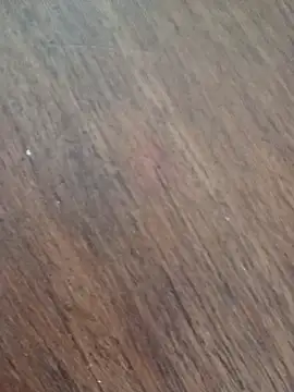 Snapshot of papajuancho chatting on October 5, 7:48 pm papajuancho online show from October 5, 7:48 pm