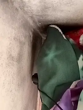 Snapshot of Nara2 chatting on October 7, 11:33 am Nara2 online show from October 7, 11:33 am