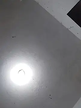  Bella Beth  online show from November 26, 2:33 am