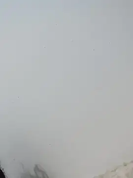  Bella Beth  online show from December 2, 12:55 am