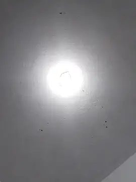  Bella Beth  online show from November 30, 2:12 am