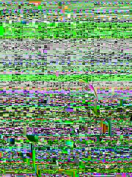 lain213 online show from October 9, 5:19 am