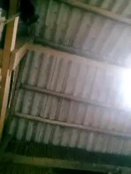 Ducky27021991 online show from October 18, 12:18 pm