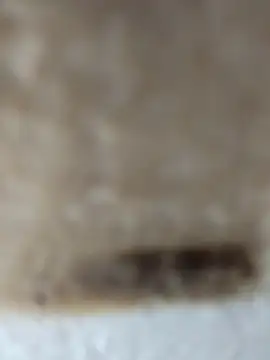 Cr sonam online show from November 24, 11:27 pm