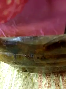 Cr sonam online show from November 17, 1:04 pm