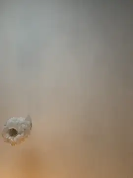 Teengirlmiaa online show from November 9, 1:59 pm