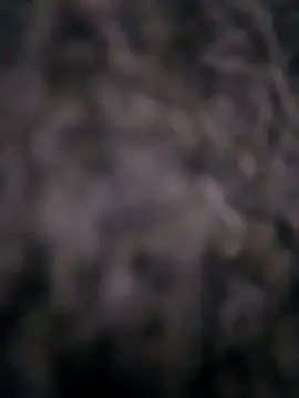 Ripe me online show from November 10, 10:20 am