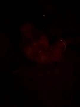 Tg sonam online show from October 23, 4:16 pm