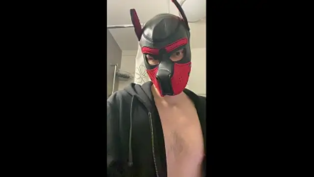 MolleDolle online show from December 1, 2:29 pm