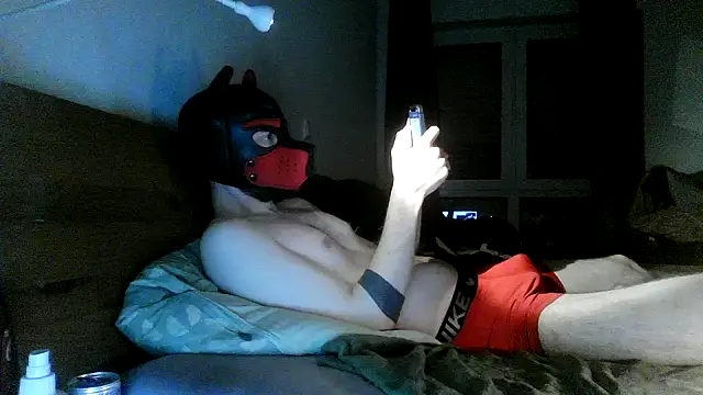 MolleDolle online show from November 29, 6:30 pm