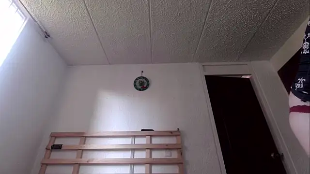 rose more   online show from November 21, 1:32 pm