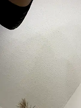 Snapshot of SiaraRealist chatting on October 15, 4:33 am SiaraRealist online show from October 15, 4:33 am