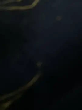 Snapshot of SiaraRealist chatting on November 23, 5:39 am SiaraRealist online show from November 23, 5:39 am