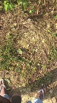 Snapshot of BiggerDickGuy chatting on November 14, 4:38 am BiggerDickGuy online show from November 14, 4:38 am