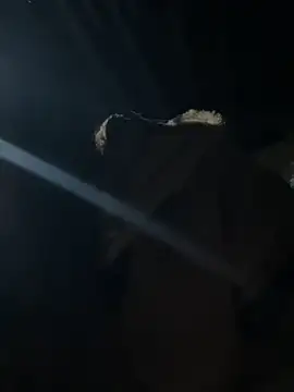 hello-cute online show from November 12, 11:19 pm