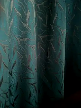 Snapshot of Raj-Varma chatting on October 7, 11:22 am Raj-Varma online show from October 7, 11:22 am