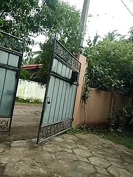 SL BEAR online show from December 18, 7:57 am