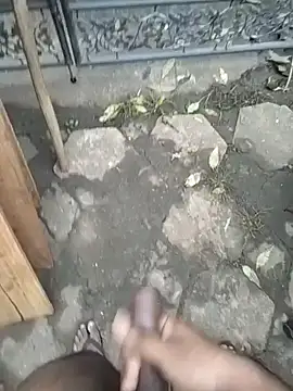 SL BEAR online show from December 4, 1:37 am