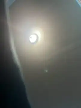 Steven-1989 online show from November 30, 9:43 am