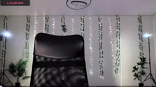 Alicia art  online show from November 28, 5:24 pm