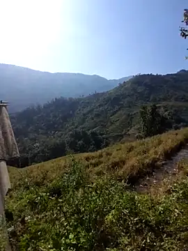 limely- online show from November 27, 6:47 am