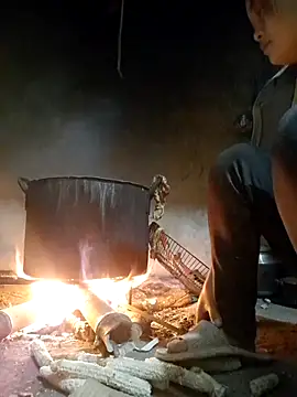 limely- online show from November 19, 1:55 pm