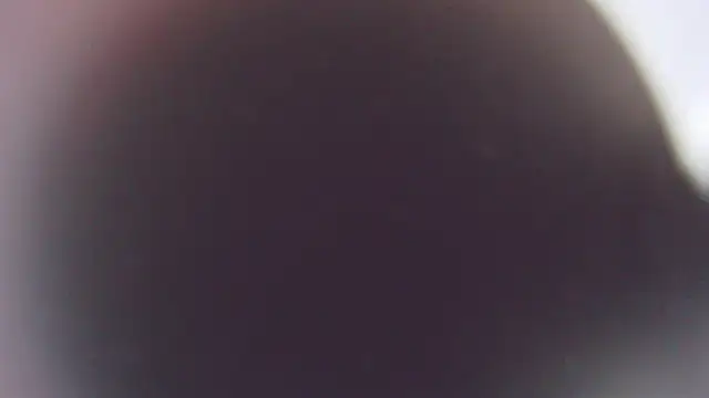 Snapshot of Stefano_Calle chatting on December 3, 11:42 am Stefano Calle online show from December 3, 11:42 am