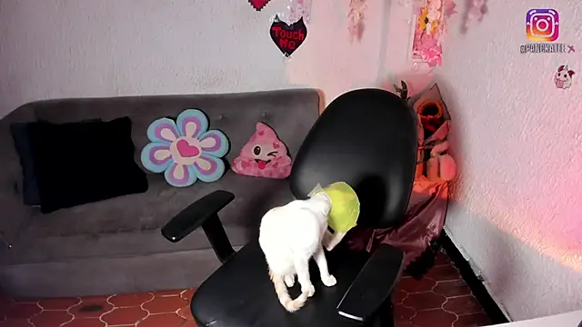 Emilycollei online show from April 11, 7:45 am