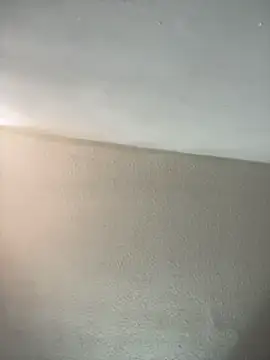 MeganHillss online show from July 11, 7:25 pm