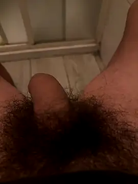 Snapshot of Theanimals chatting on November 5, 11:52 pm Theanimals online show from November 5, 11:52 pm