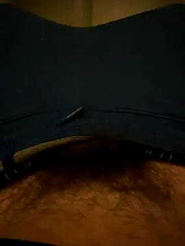 Snapshot of Theanimals chatting on November 15, 12:03 am Theanimals online show from November 15, 12:03 am